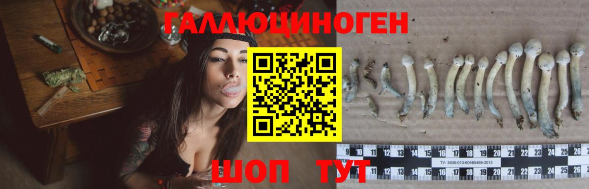 где продают   Вход с VPN  Минусинск  Псилоцибиновые грибы прущие грибы 